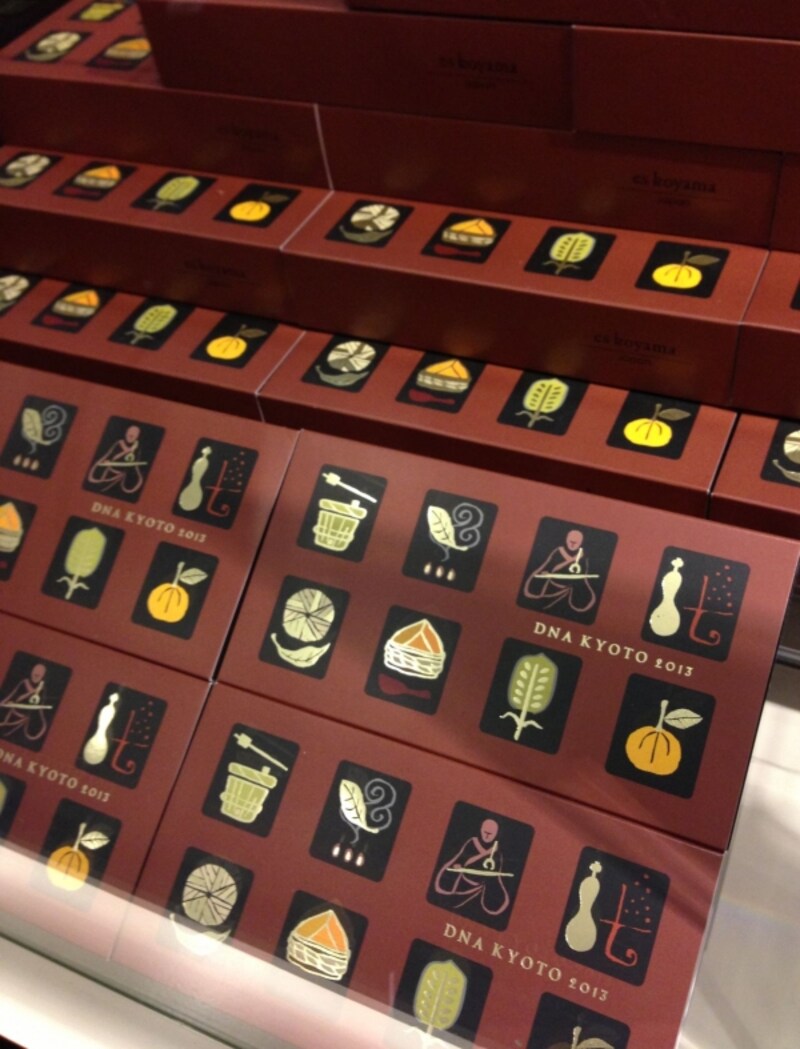 DNAundefinedKYOTOundefined2013