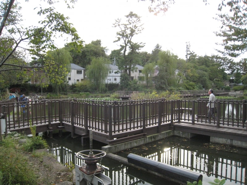 白旗池公園