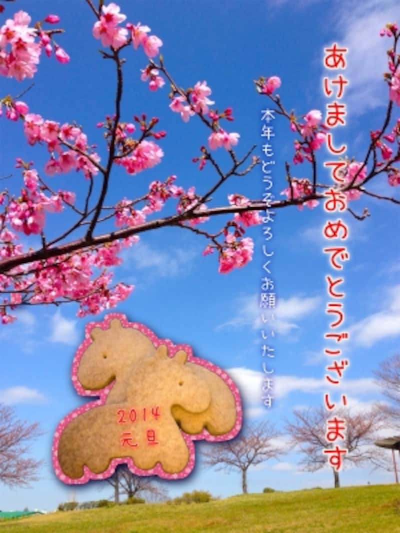 PhotoCutで作成した年賀状例。