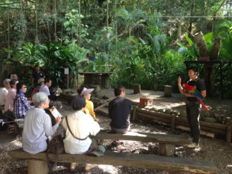 アニマルショー