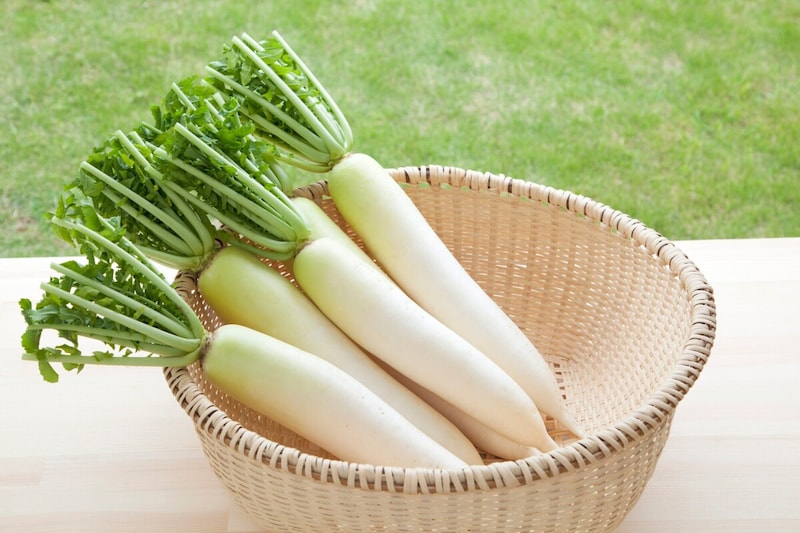 大根・白菜の保存方法と人気のおすすめレシピ
