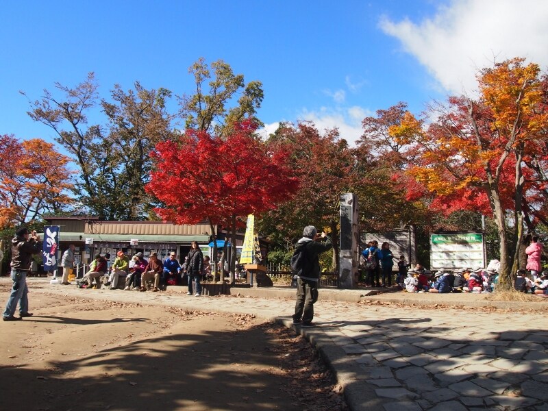 お昼時で老若男女がお弁当を広げていた