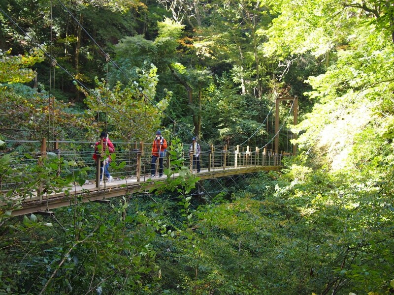 山道の中に突然、吊り橋が現れる