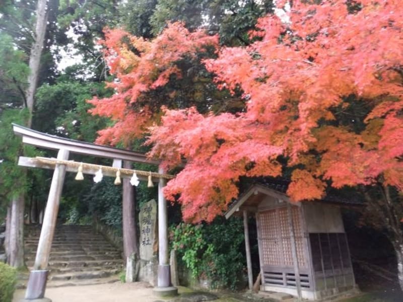 神魂神社(2)/参道入口