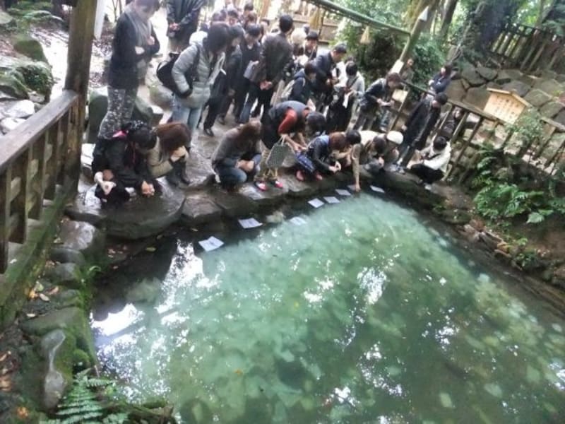 八重垣神社(3)/鏡の池での縁占い