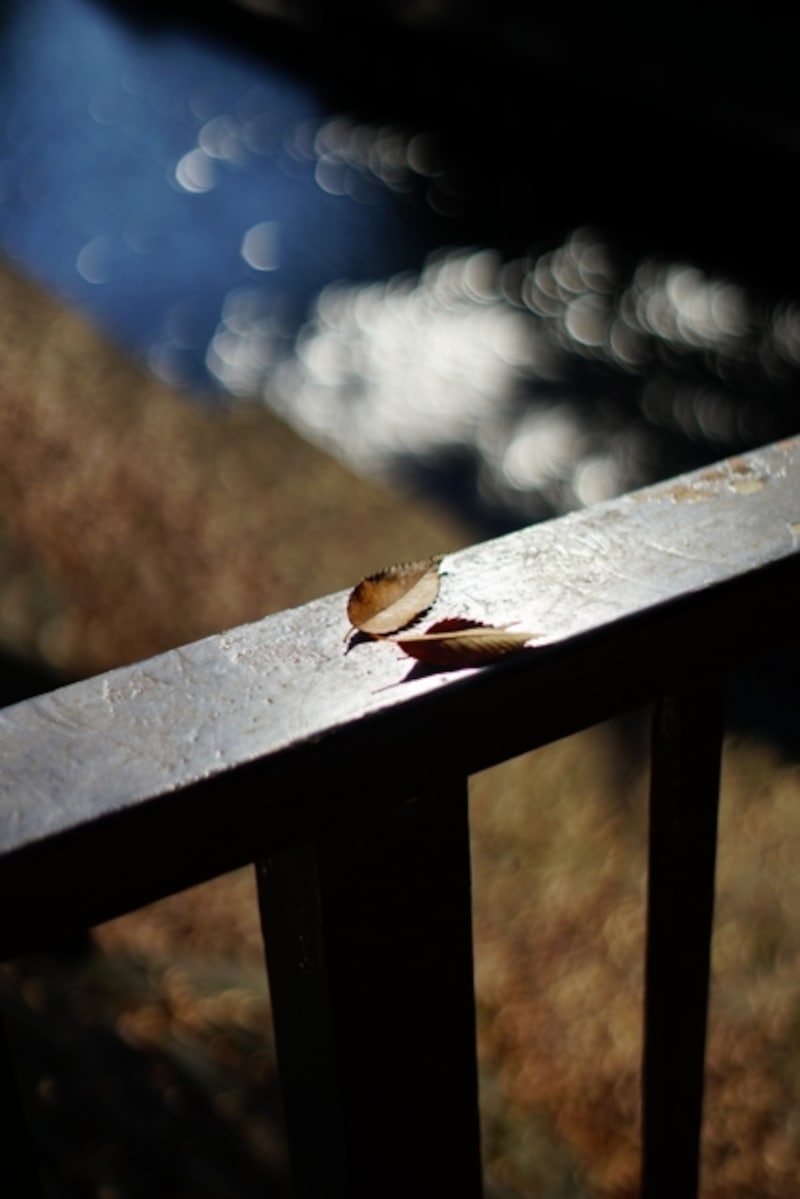 作例。α7、ミノルタAF50mm F1.7。