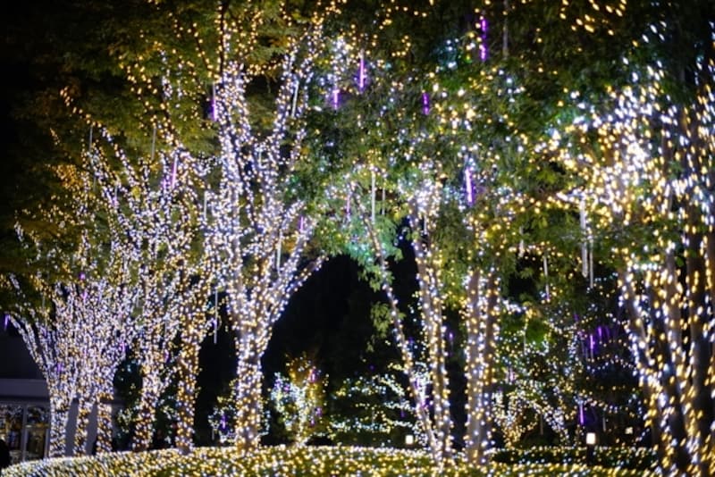 作例。α7、ミノルタAF50mm F1.7。