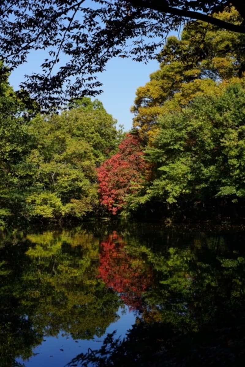 作例。α7、ミノルタAF50mm F1.7。