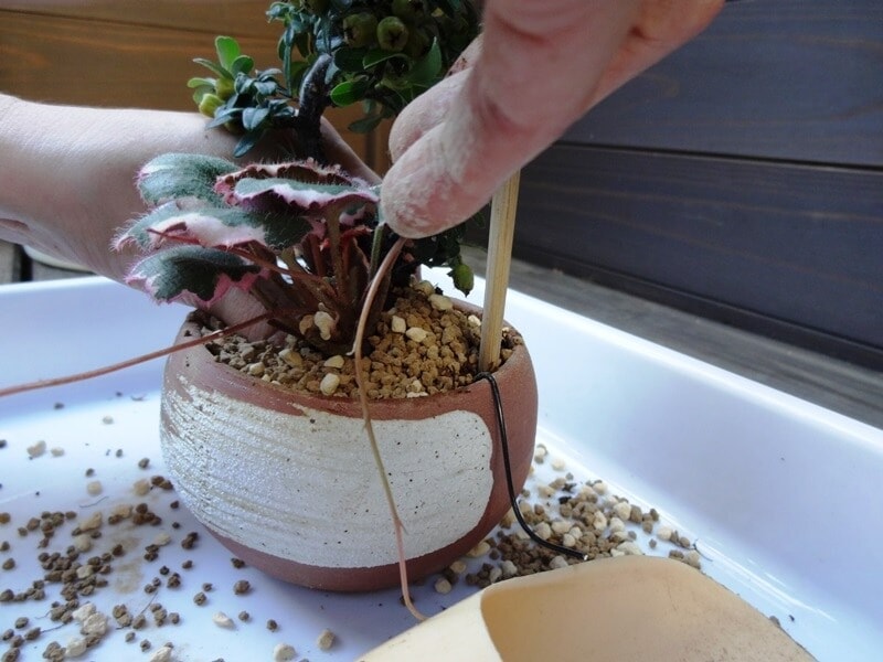 小さな隙間にも用土を入れましょう