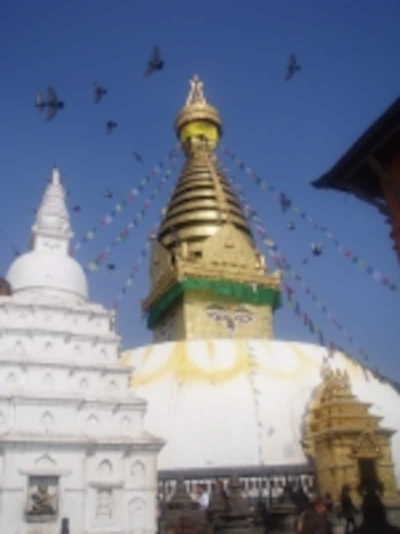 スワヤンブナートの仏塔