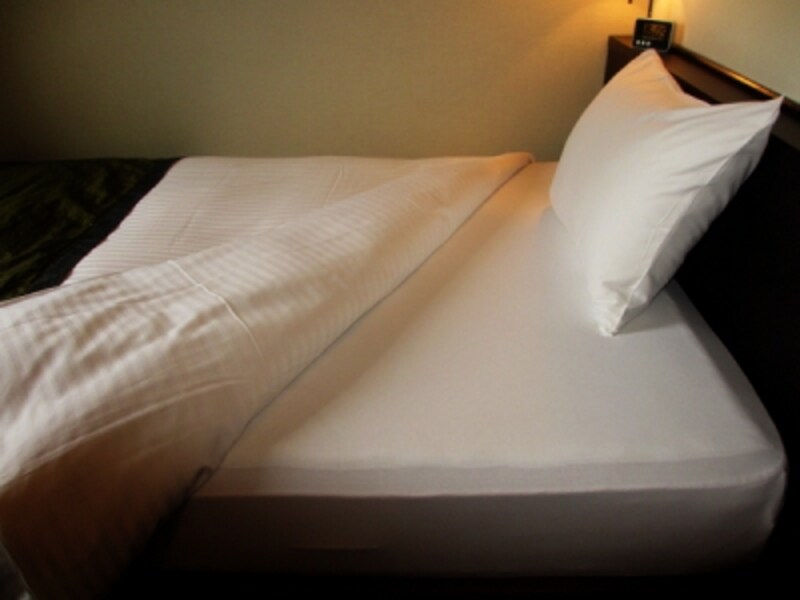 デュベスタイル