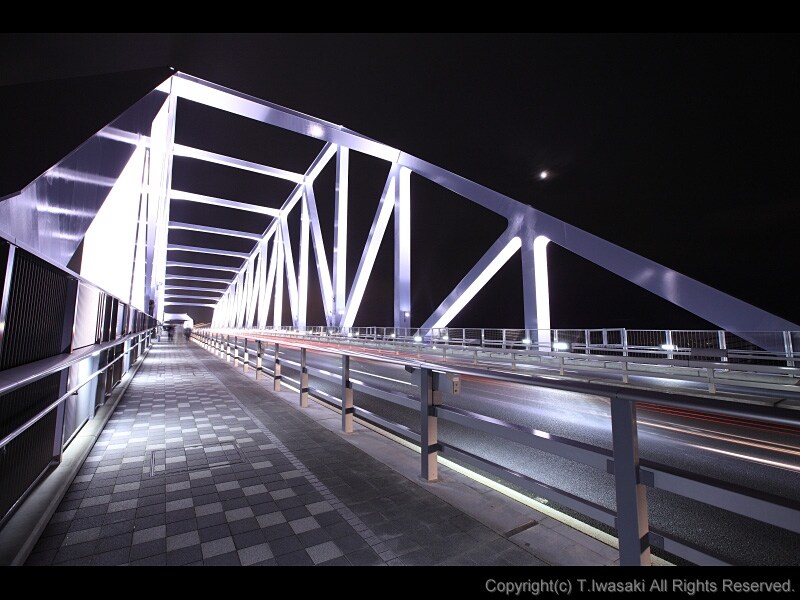 東京ゲートブリッジのトラス橋