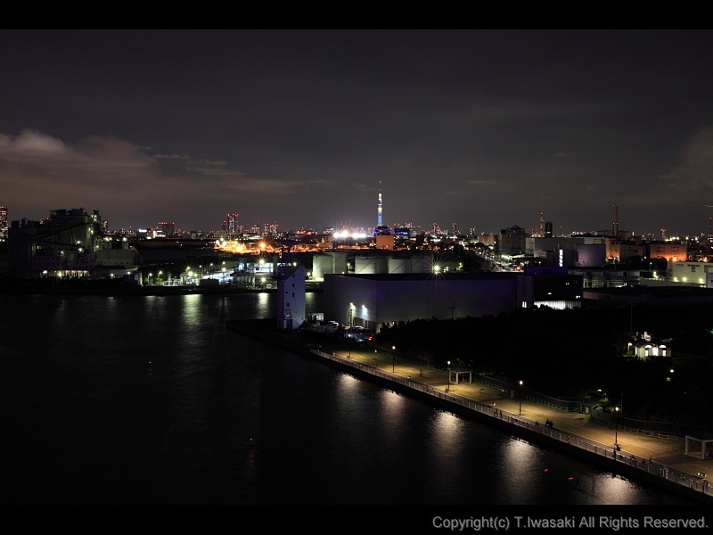 東京スカイツリーを望む