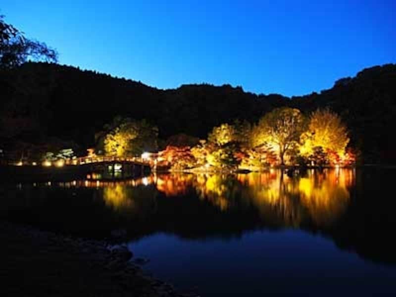 池から南橋を見る