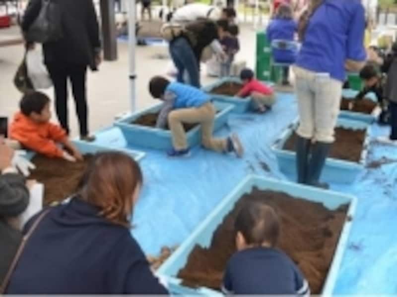 太陽のマルシェ