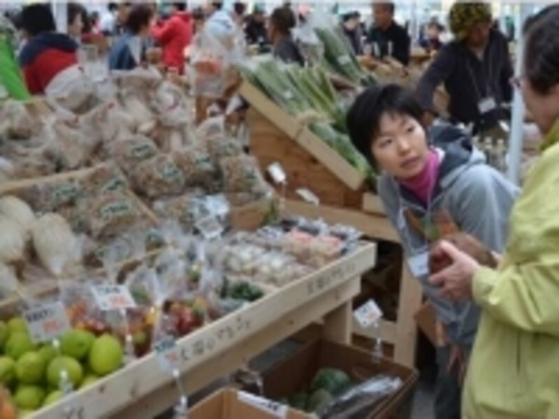 太陽のマルシェ