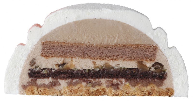 フェアリードームundefined断面