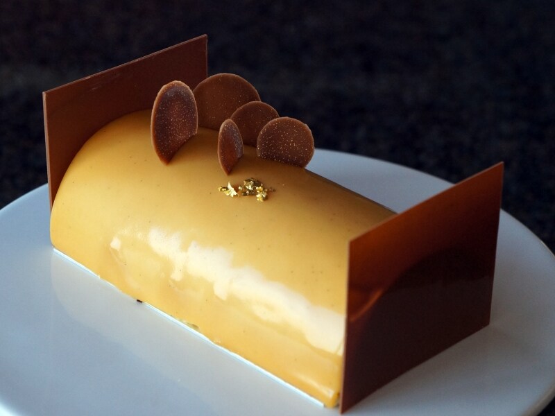 ブッシュ モンペリエ undefined 4,100円 （15cm）