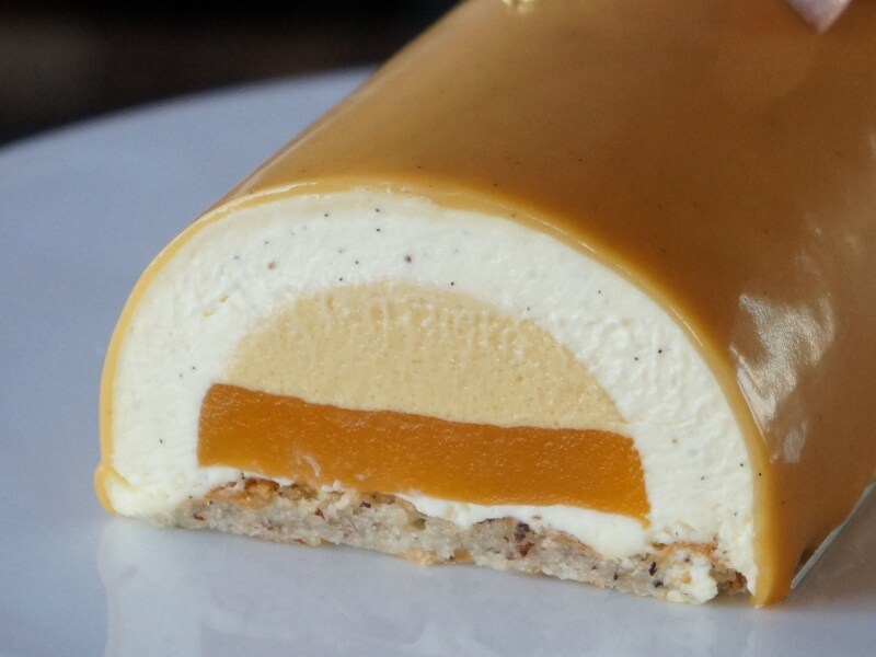 ブッシュ モンペリエ 断面