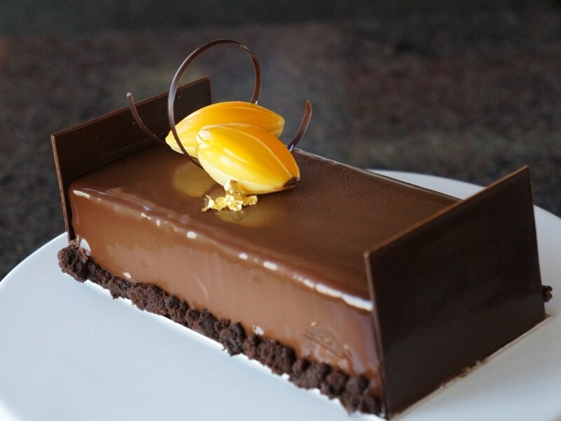 ブッシュ マカオundefined3,900円（17cm ）