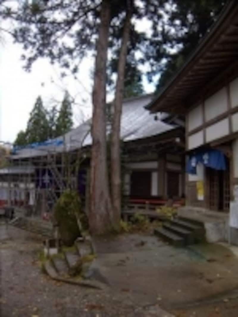解説画像