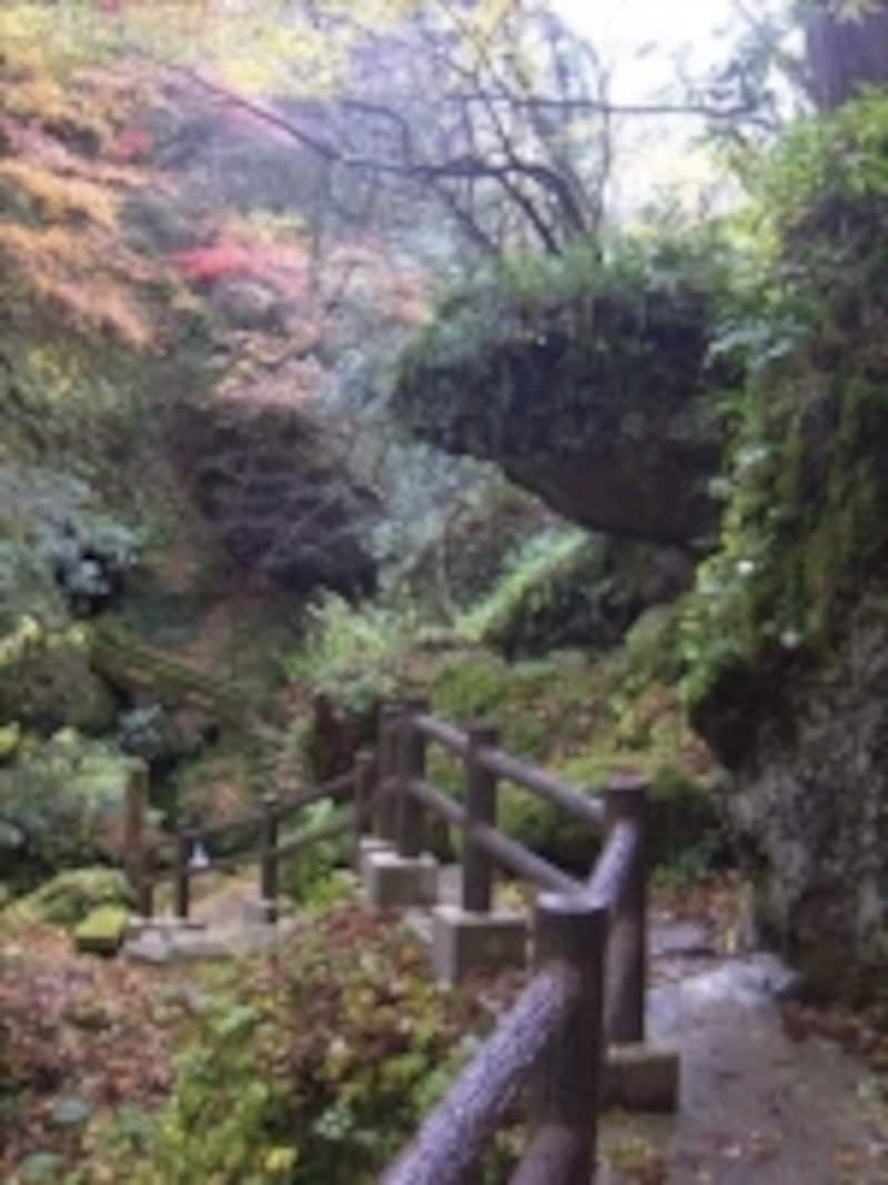 解説画像