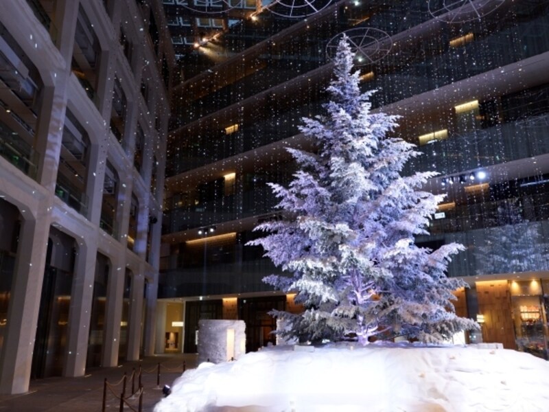 KITTEのクリスマスツリー