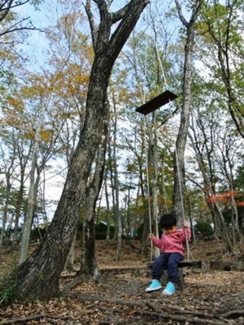こちらは木のブランコ。ハイジみたいですね！