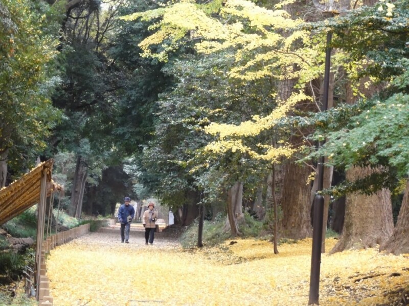 幻想的な雰囲気になる