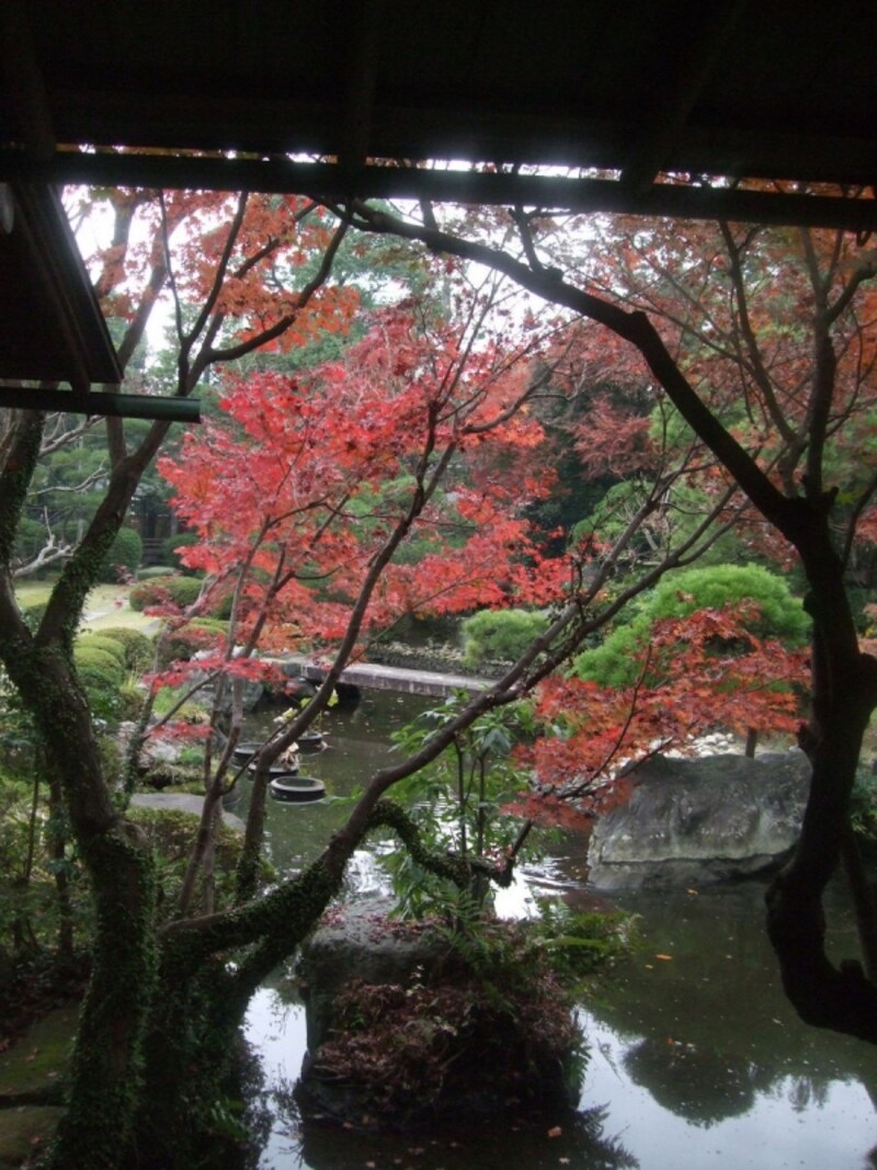 心が落ち着く日本庭園