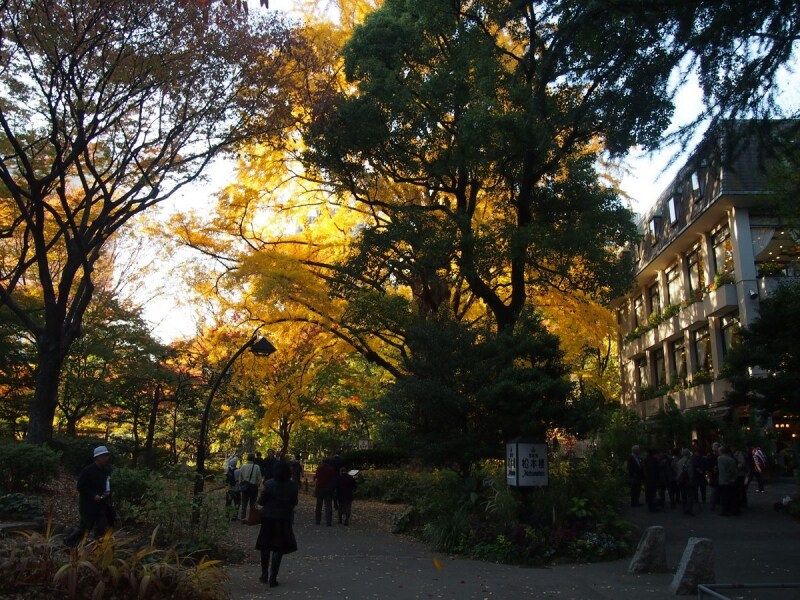 多くの人がカメラを向けている