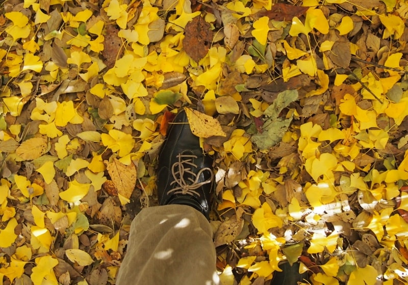 ガサッガサッという音をさせて歩く