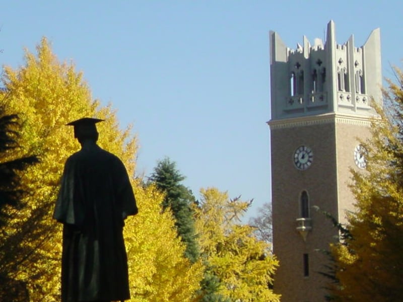 これはこれで味があるね