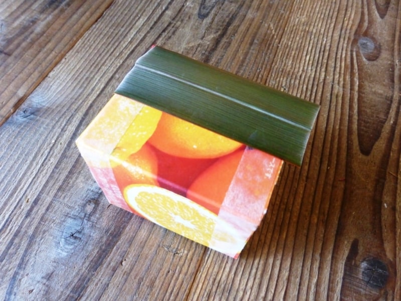 ニューサイラン貼付写真