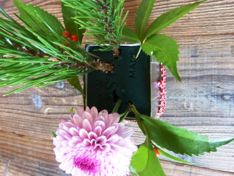 ピンポンマム写真