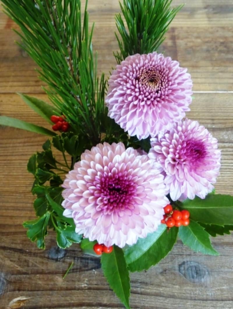 ピンポンマム追加写真