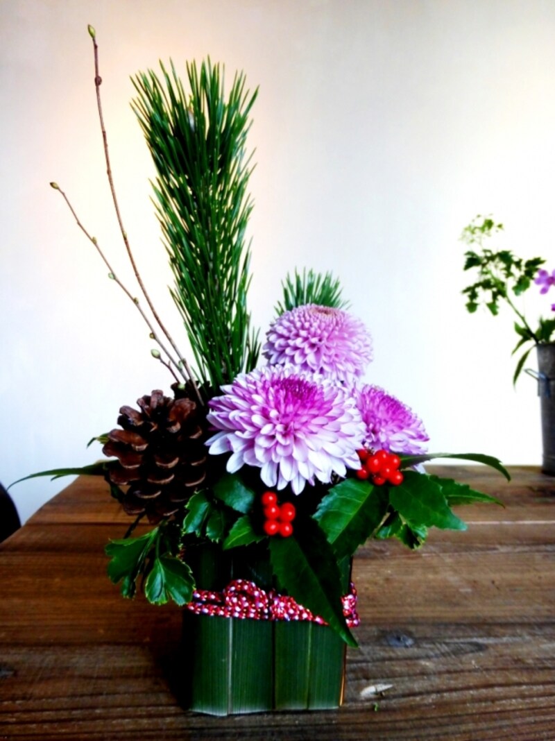 ヒメミズキ写真