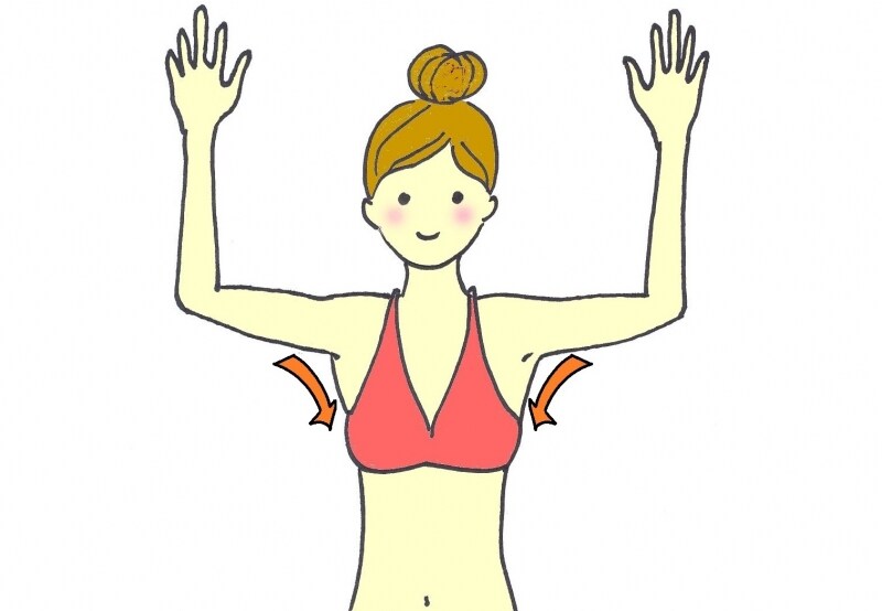 「広背筋」の位置や形を意識して……