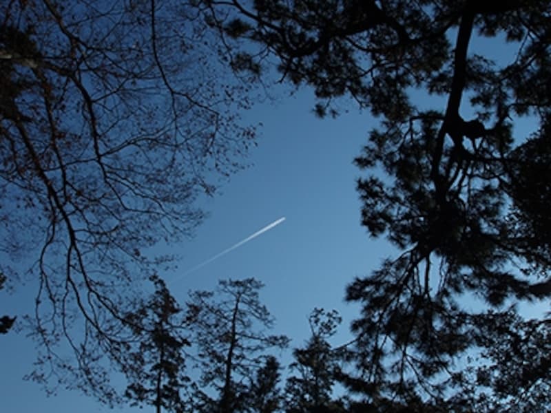 井村一巴 《無題（スナップ写真）》 2006年 デジタルデータ