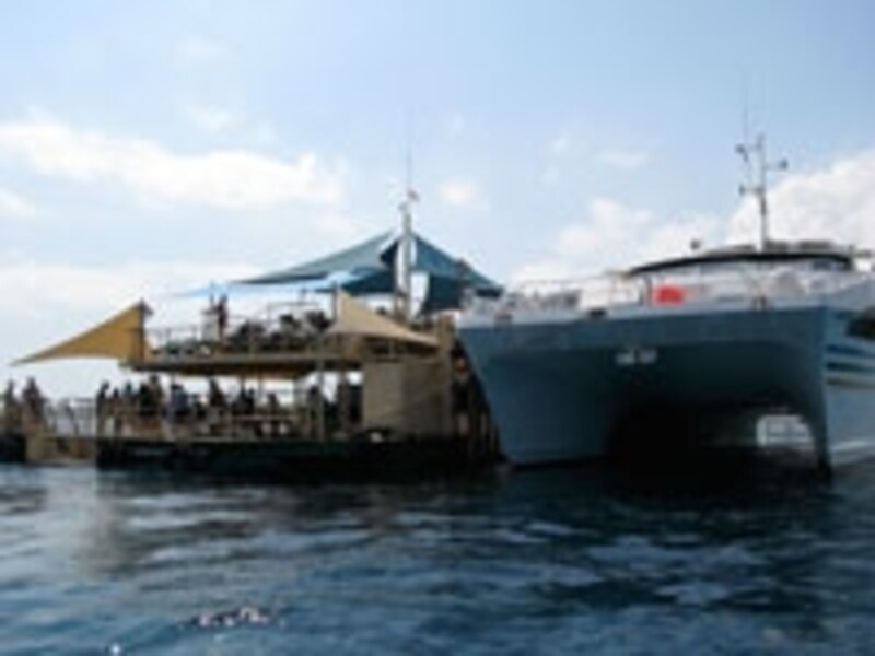 クルージング！