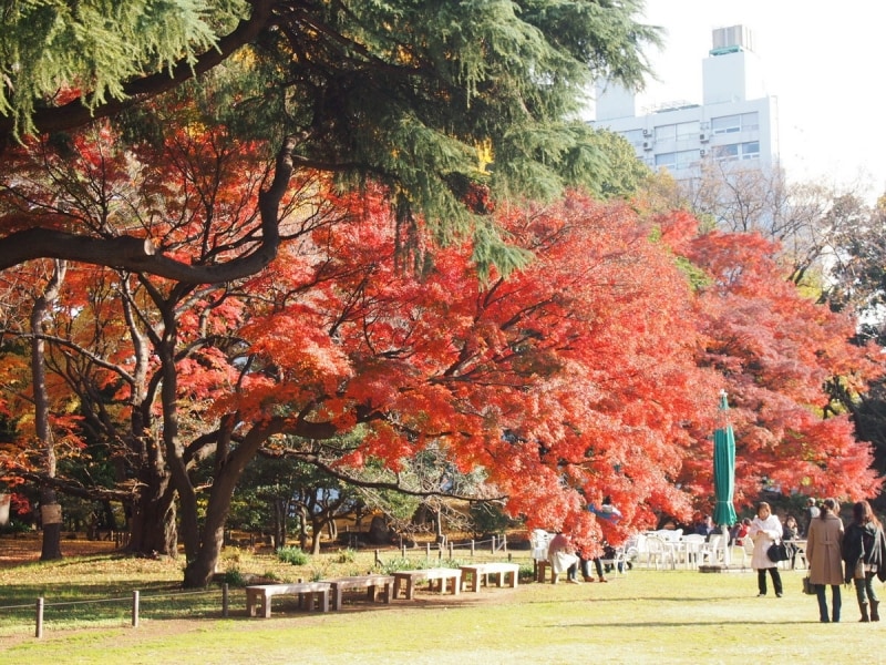 日本庭園とは違った趣がある。