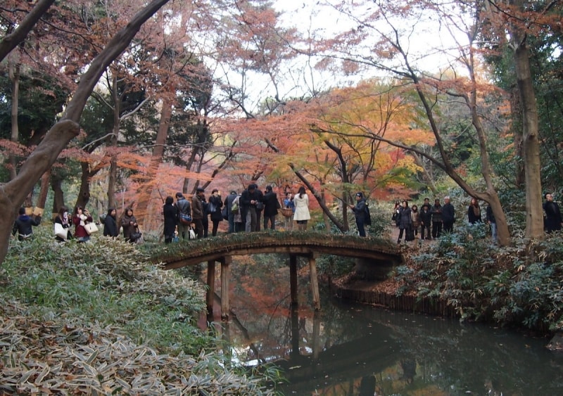 この橋からの景色もいい