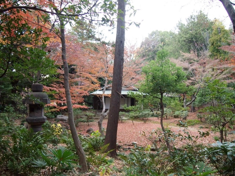 落ち着いた雰囲気の日本庭園の紅葉