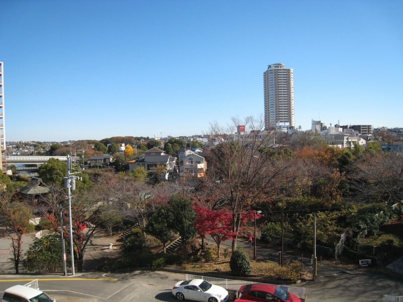 帷子川を見下ろす