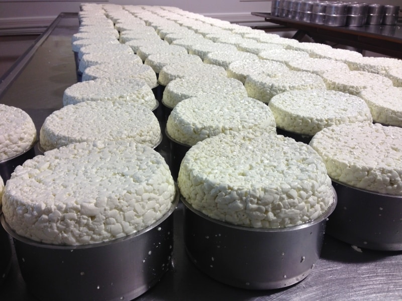 型入れ直後のロックフォール