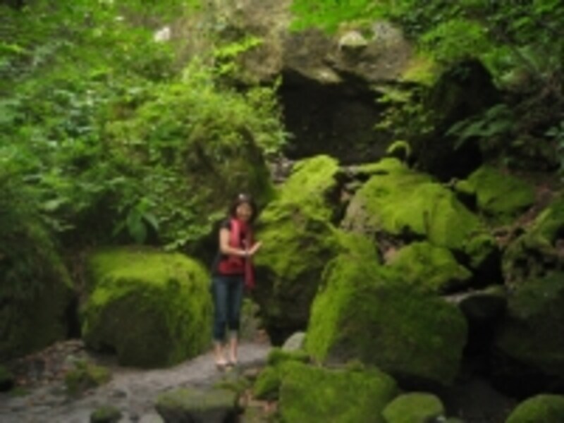 苔の洞門