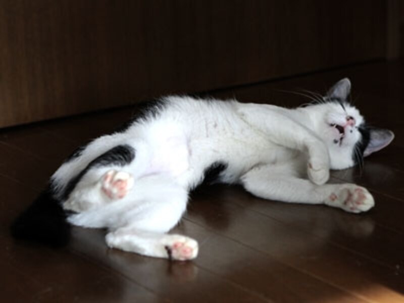 行き倒れ