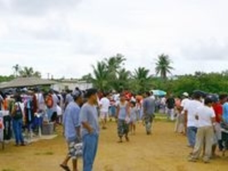 早起きをして訪れたい週末の朝市。シャトルバスも運行