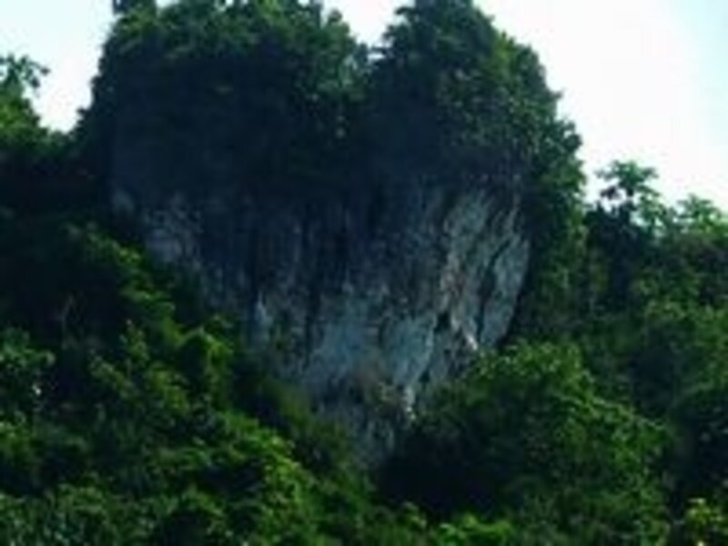 ハート型に見えなくもない？