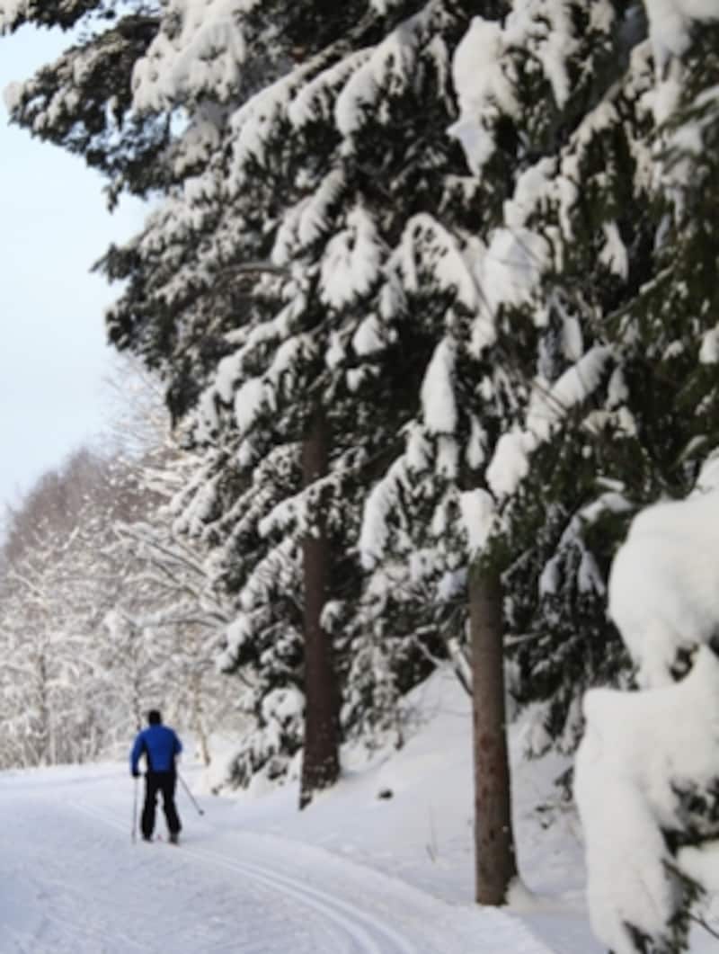 クロスカントリー